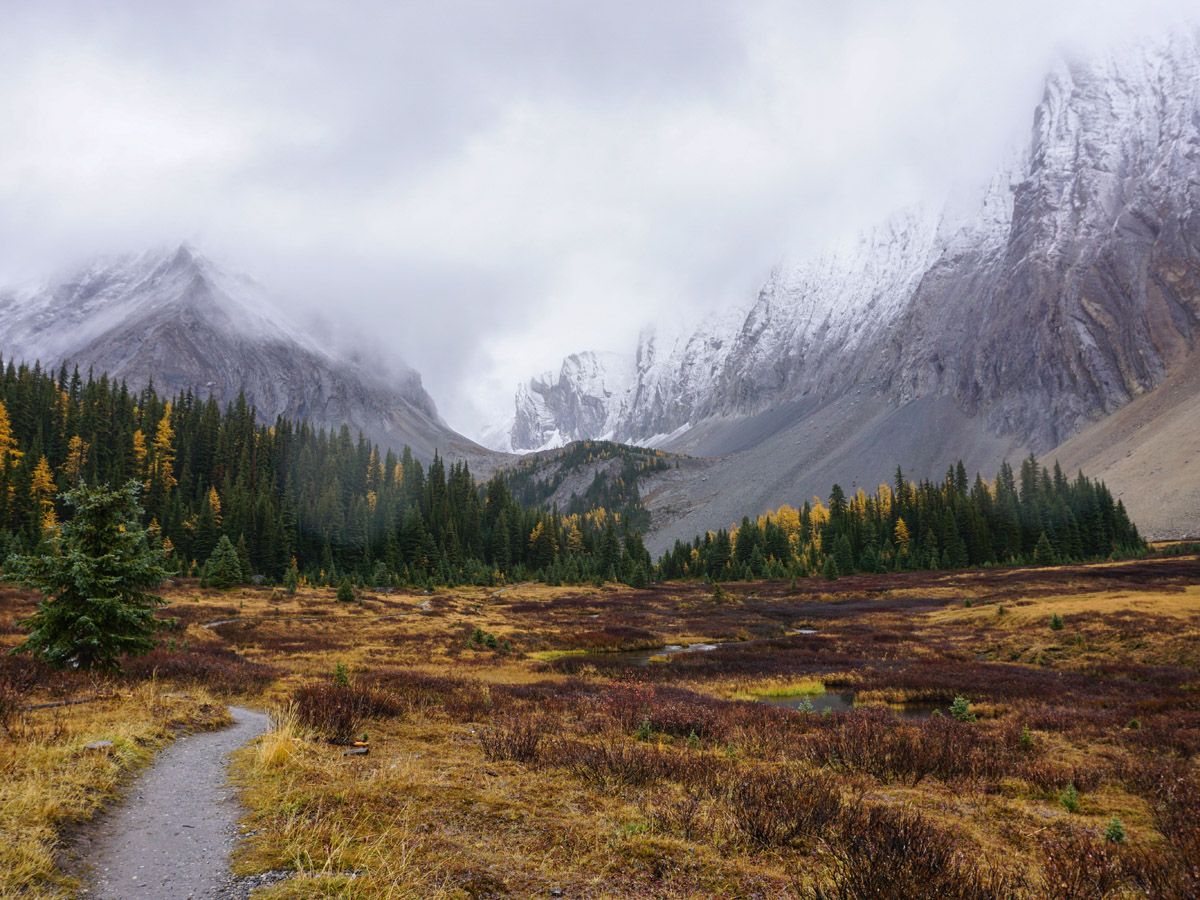 Chester lake is an amazing larch trail in Alberta