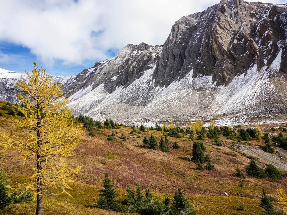 Ptarmigan Cirque in Kananaskis is one of the best fall larch hikes in the Canadian Rockies