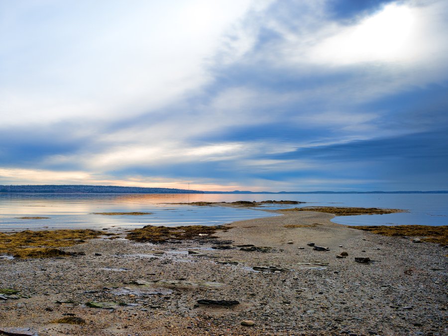 View of low tide at Penobscot Bay in Searsport, Maine