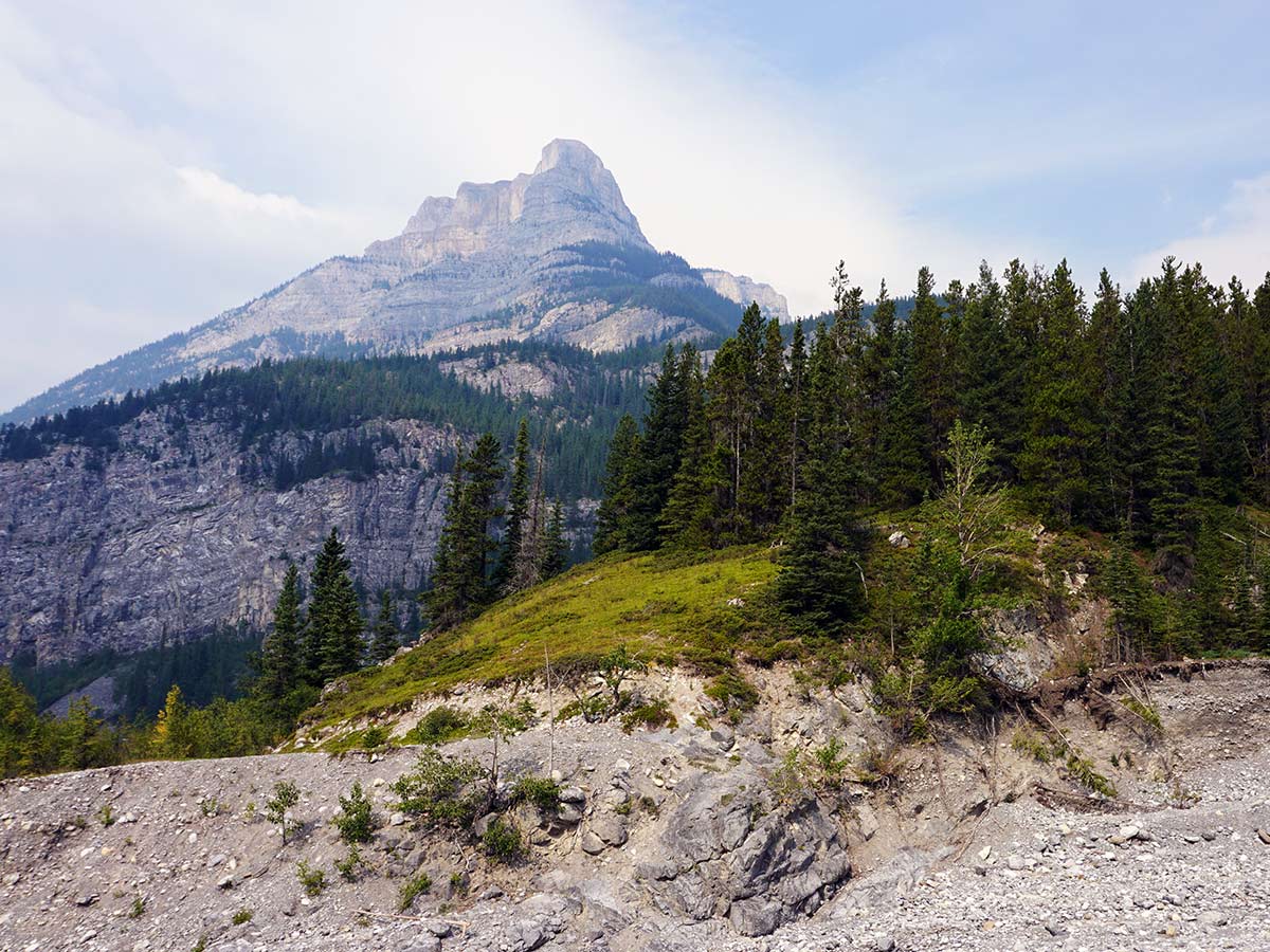 Coming to the creek bed on the Grotto Canyon hike in Canmore, Alberta