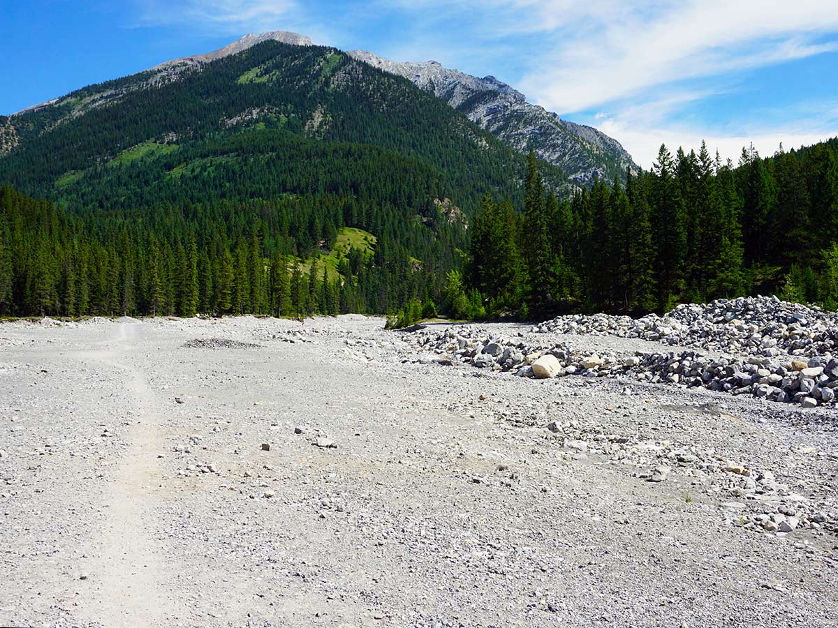 Hiking upon the Lady MacDonald Teahouse Hike from Canmore, Alberta