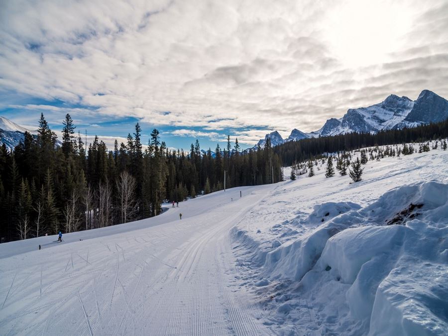 Cross Country Ski Trails at the Nordic Centre in Canmore