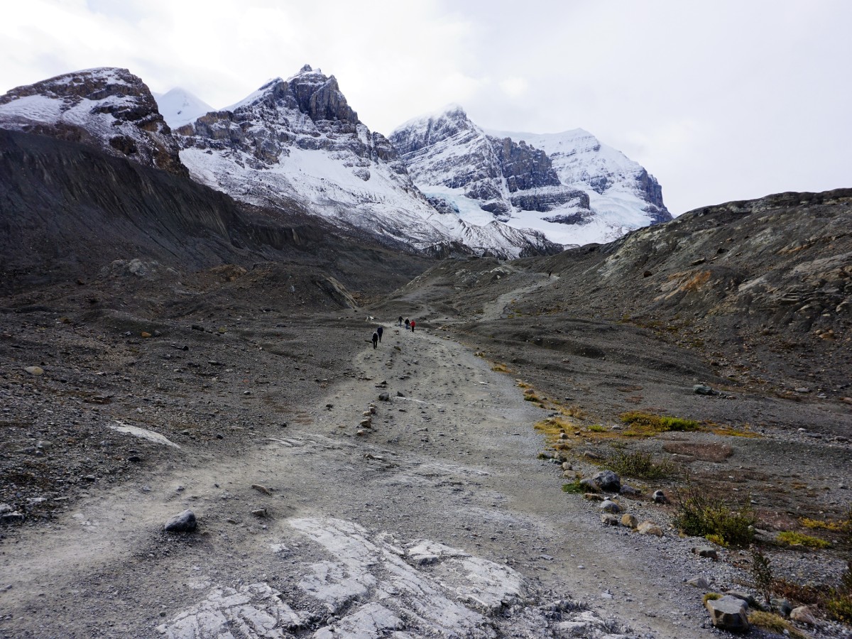 Trailhead of the Toe of the Athabasca Glacier Hike in Jasper National Park