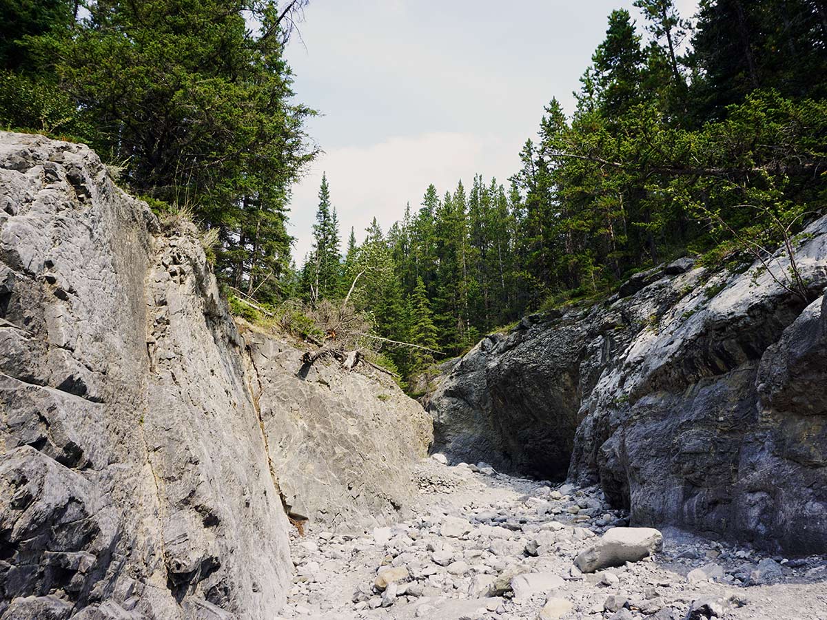 Walking in Grotto Canyon, Canmore, Alberta