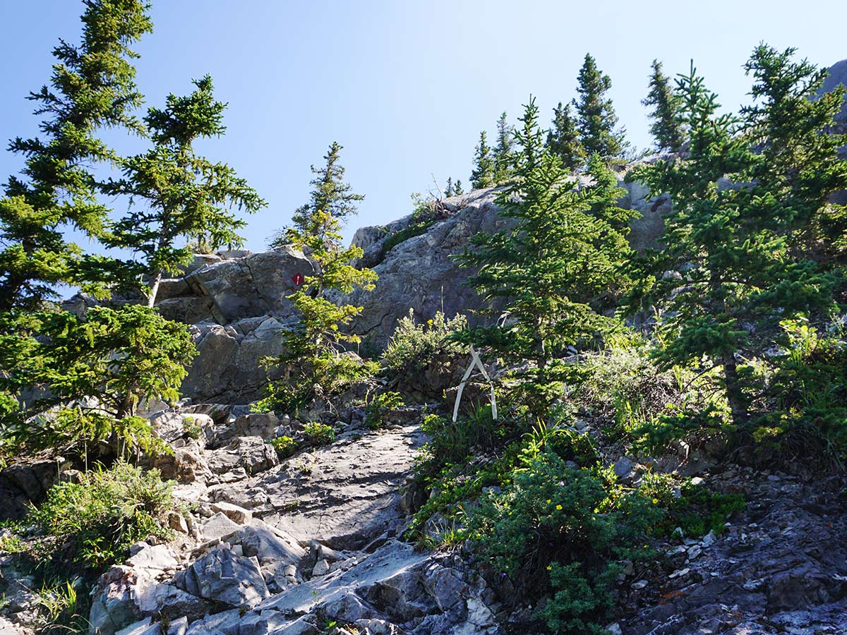 Red Diamond sign representing the scrambly bit on the Heart Mountain Horseshoe Hike in Canmore, Alberta