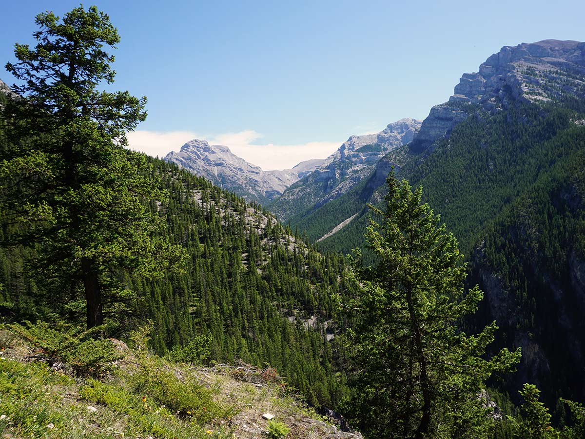 Trail of the Lady MacDonald Tea House Hike from Canmore, Alberta