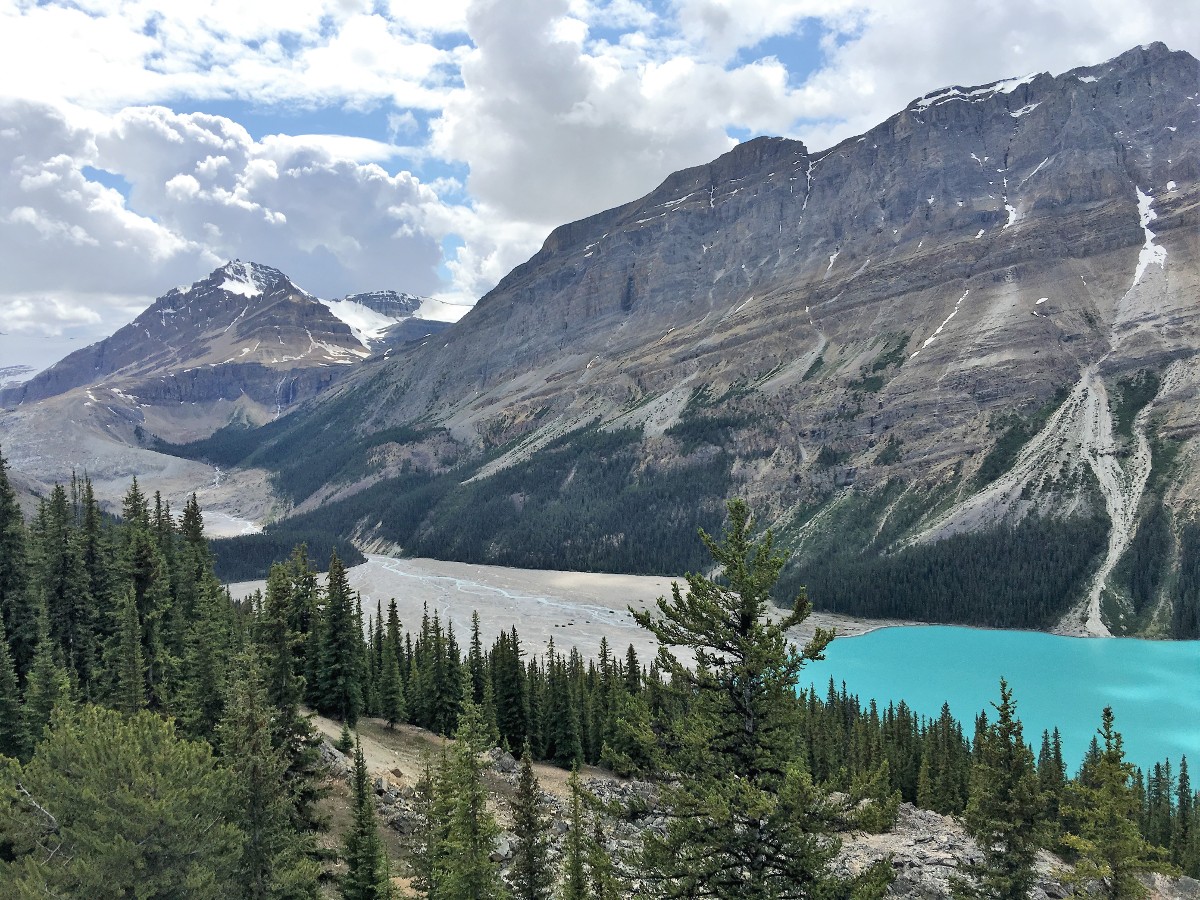 Valley views from the Peyto Lake Viewpoint Hike from Icefields Parkway, near Banff National Park