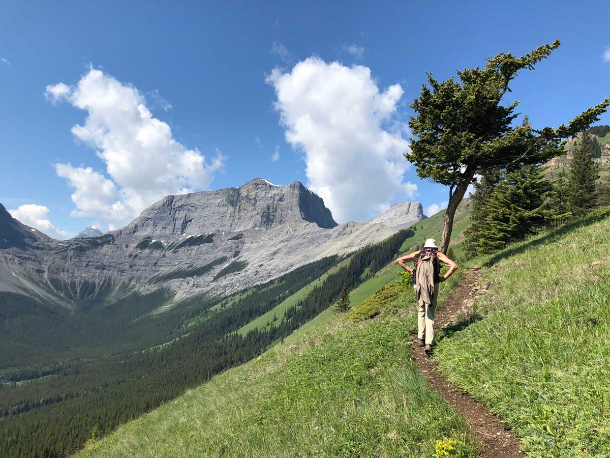 Wind Ridge Hike in Canmore has beautiful views