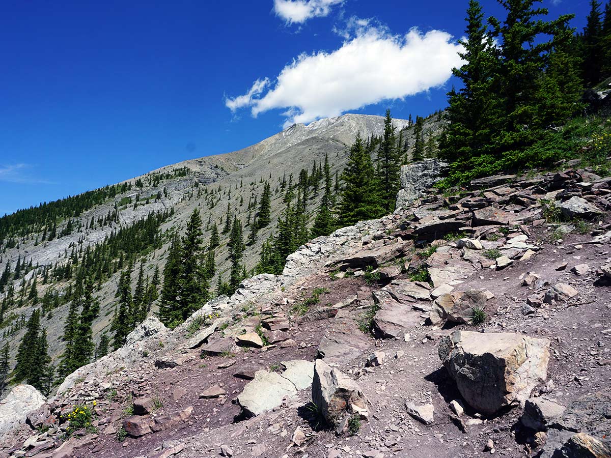 Beautiful scenery from the Lady MacDonald Tea House Hike from Canmore, Alberta