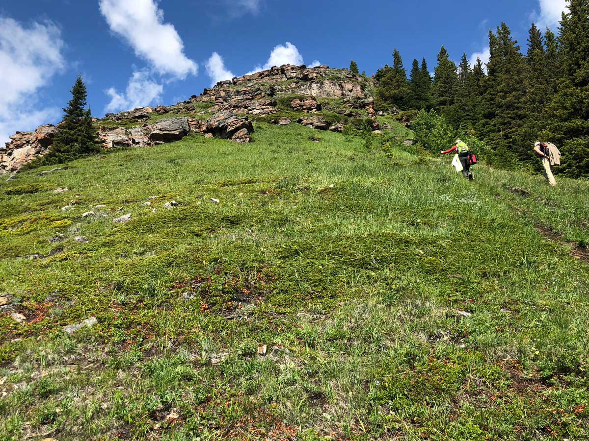 The steep bit below the scrambly bit on the Wind Ridge hike in Canmore, Alberta