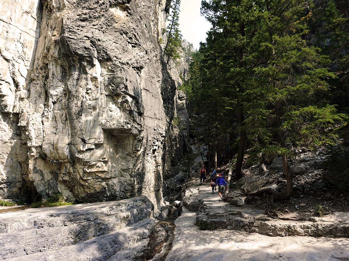 Views of the Grotto Canyon walk in Canmore, Alberta