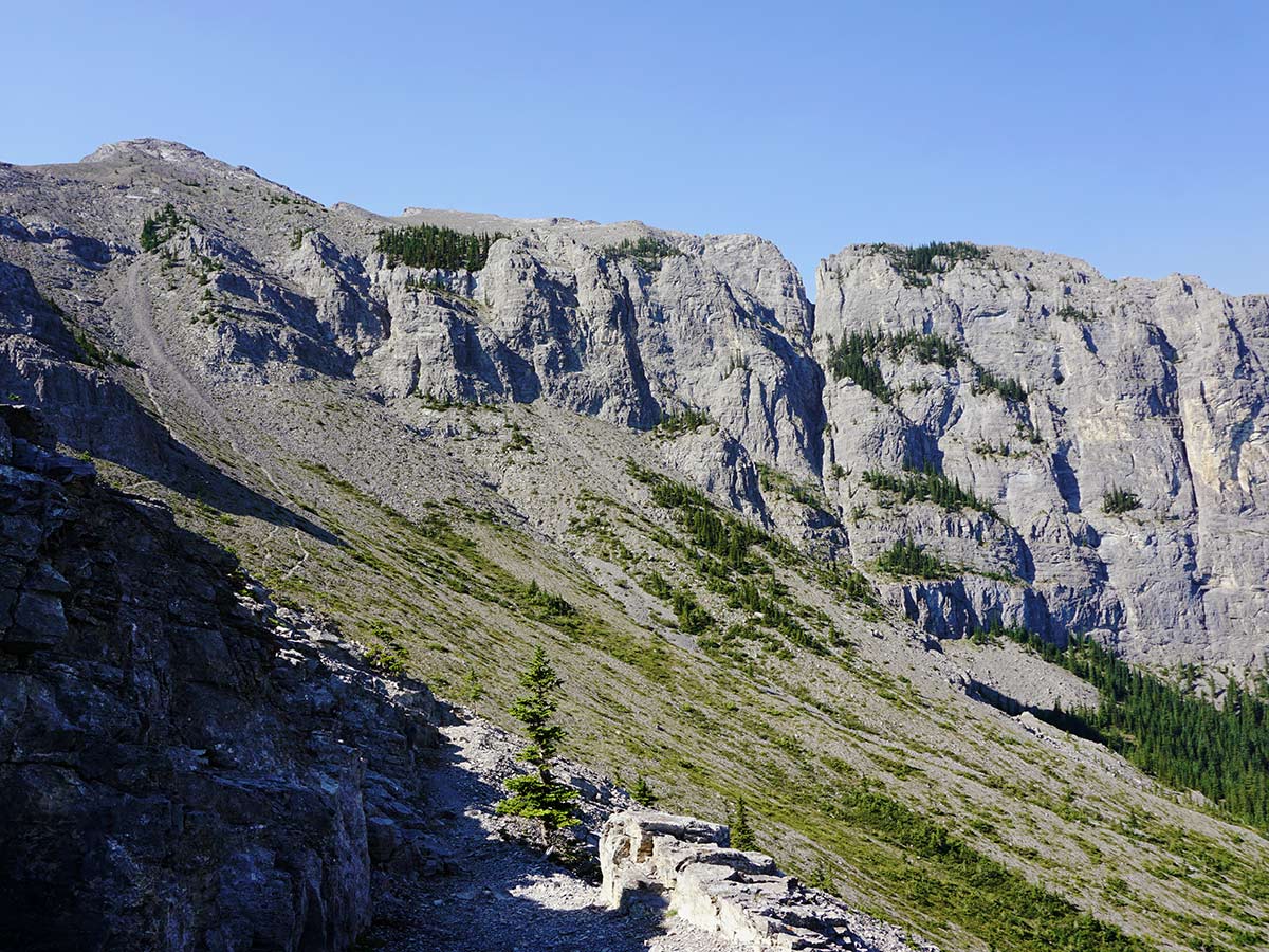 Looking at the trail on Mt. Yamnuska Circuit Hike in Canmore, Alberta