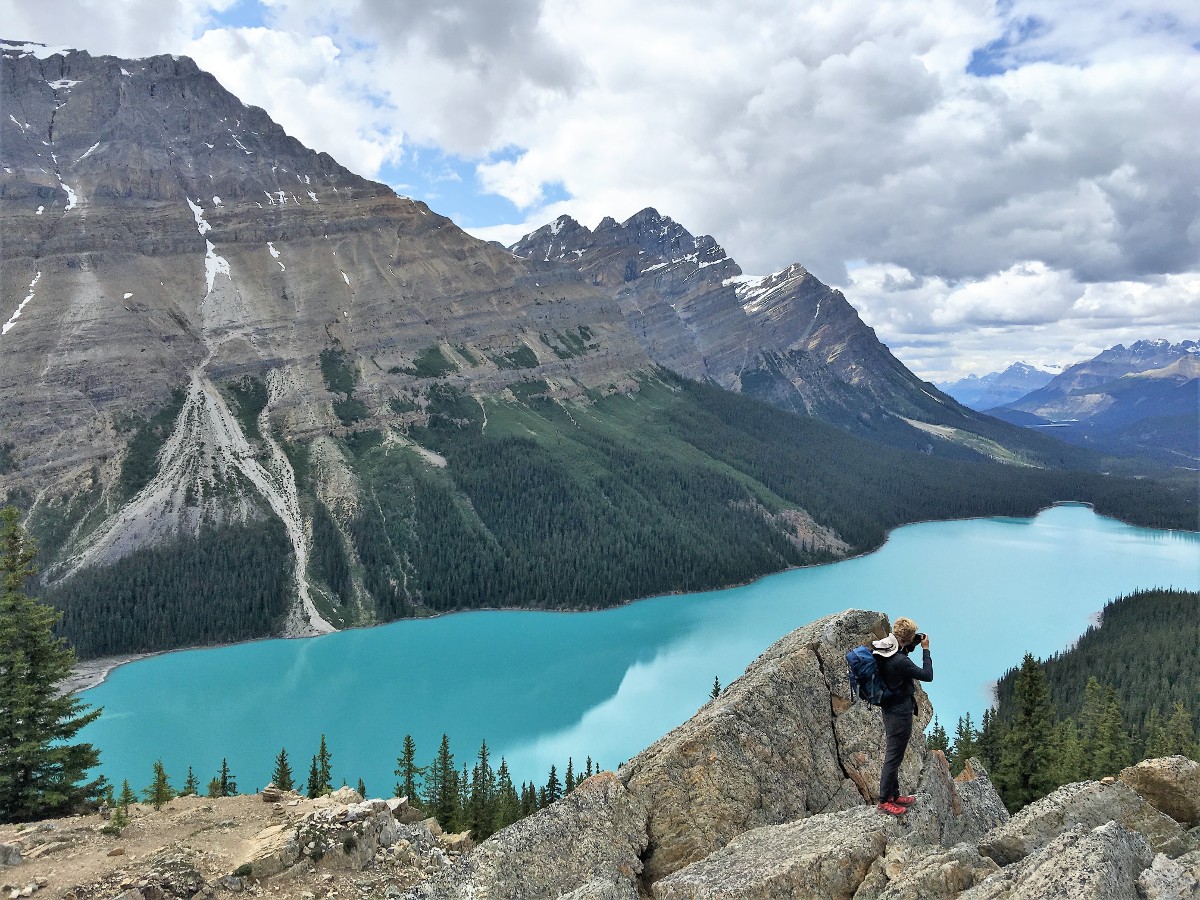 Picturesque views of the Peyto Lake Viewpoint Hike from Icefields Parkway, near Banff National Park