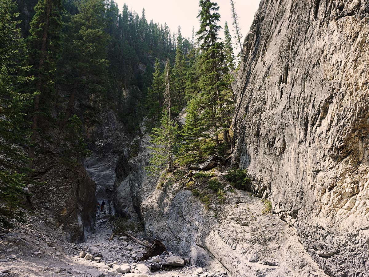 Looking down Grotto Canyon trail in Canmore, Alberta, Canada