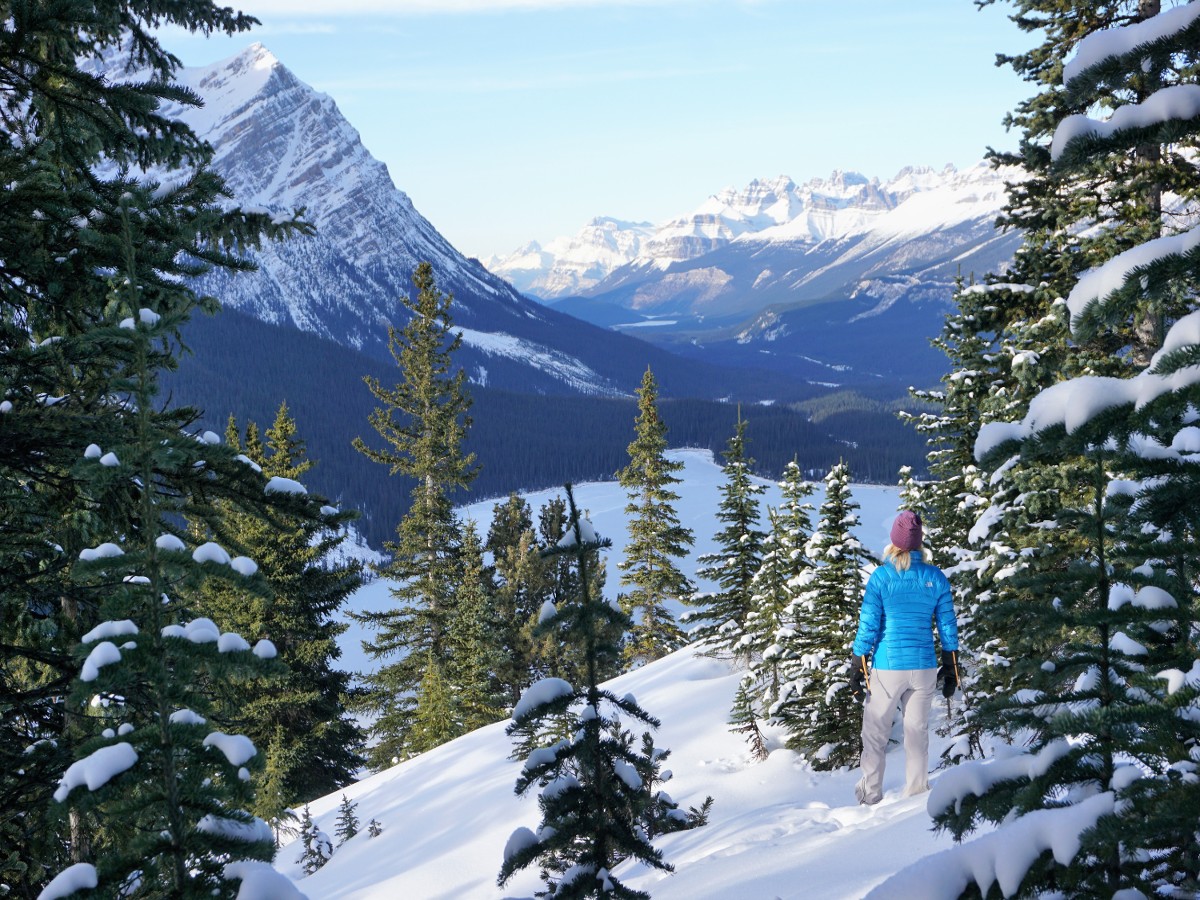 Snowshoeing in the winter on the Peyto Lake Viewpoint Hike from Icefields Parkway, near Banff National Park