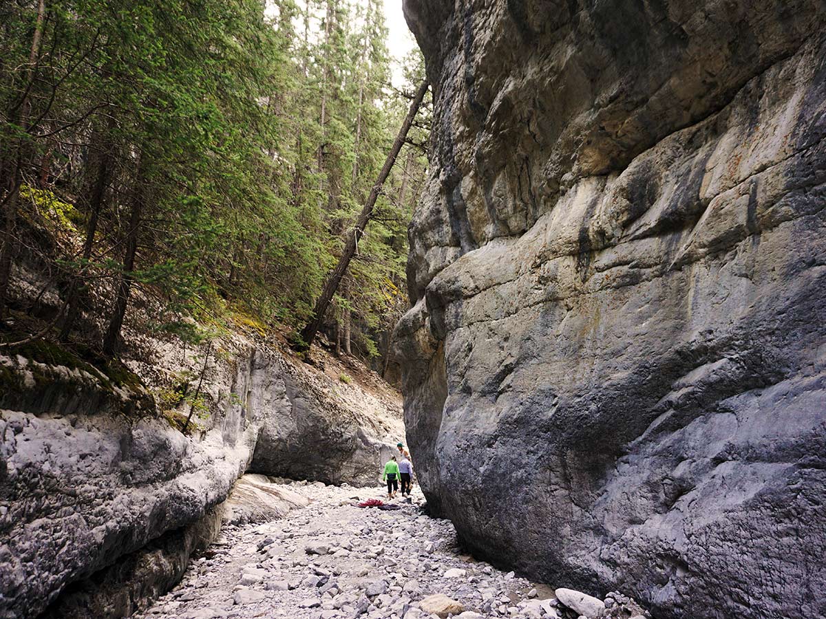 Grotto Canyon in Canmore is a great place for rock-climbers