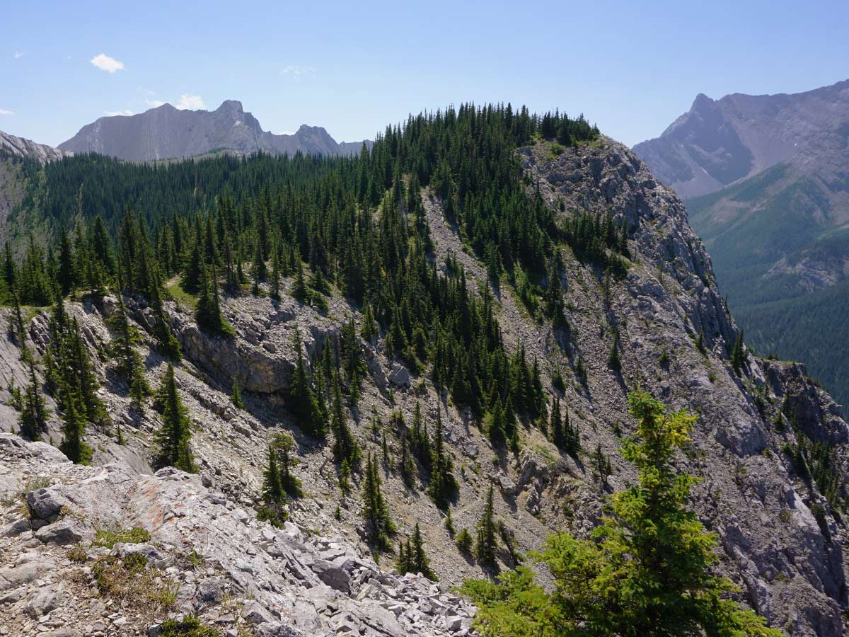 Trail of the Heart Mountain Horseshoe Hike in Canmore