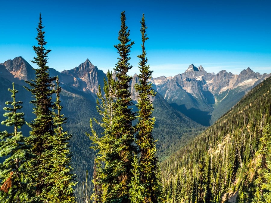 A scene of the North Cascades mountain range as seen from the Pacific Crest Trail in northern Washington