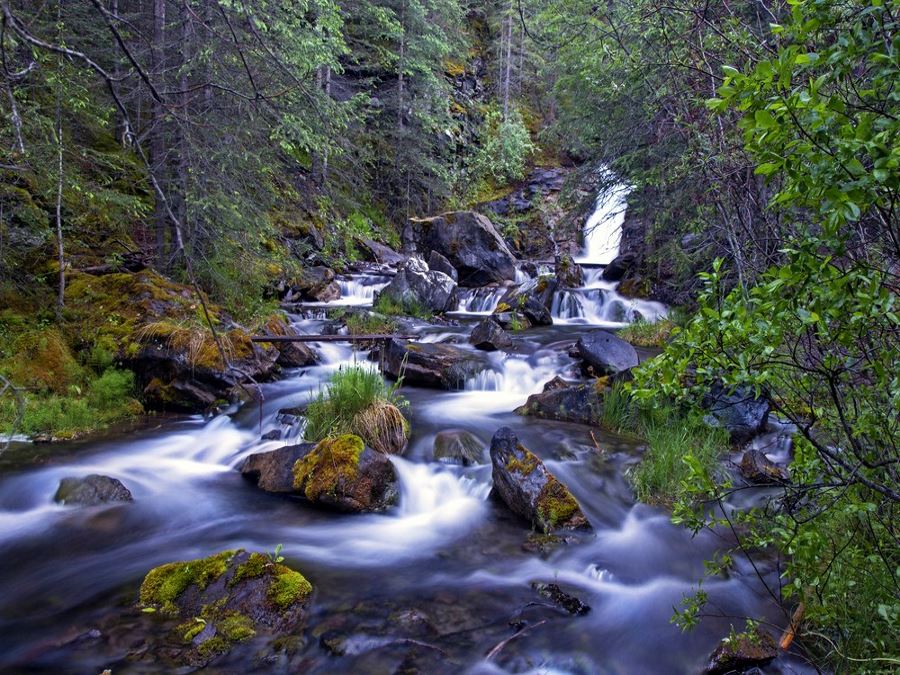 Canmore Creek Cascades and Quarry Lake trail should be included in planning your trip to Canmore