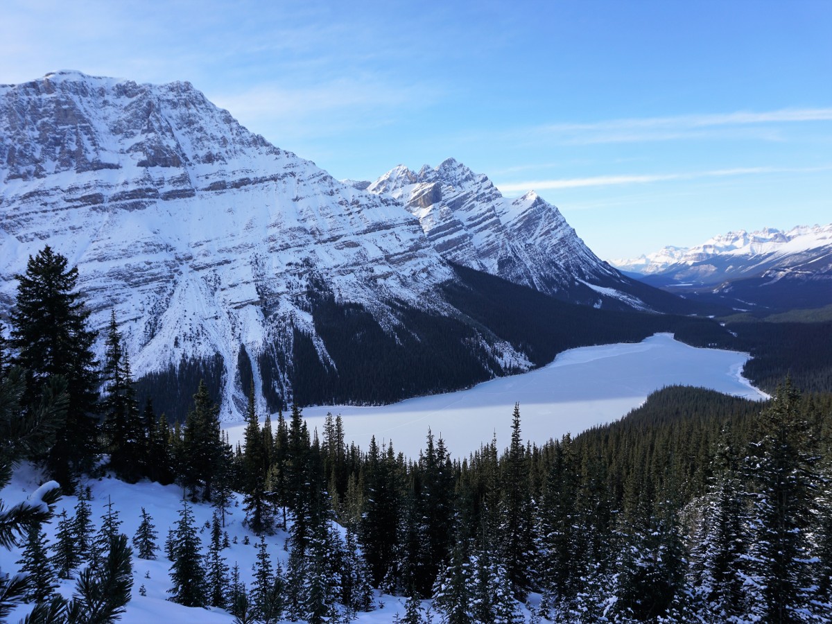 Winter views of the Peyto Lake Viewpoint Hike from Icefields Parkway, near Banff National Park