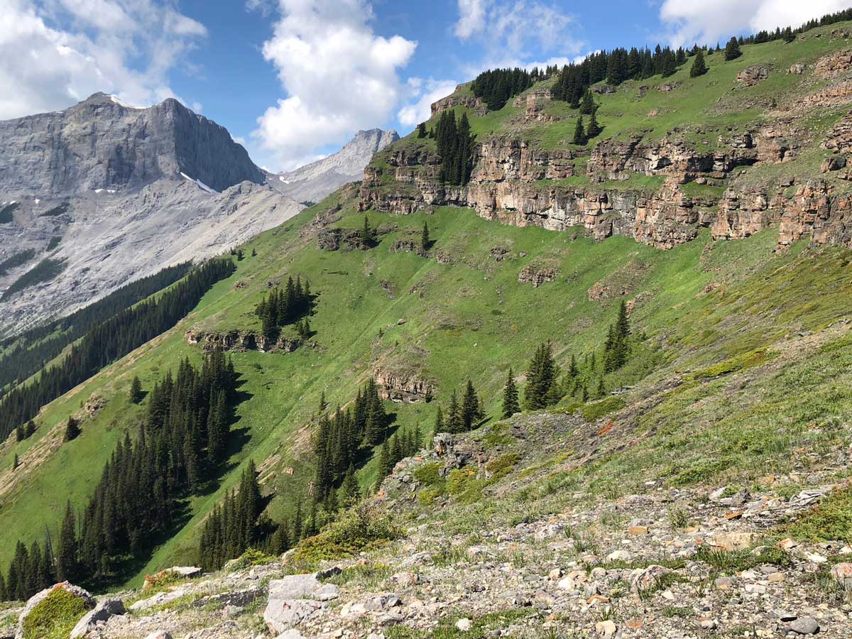 Views from the Wind Ridge hike in Canmore, Alberta