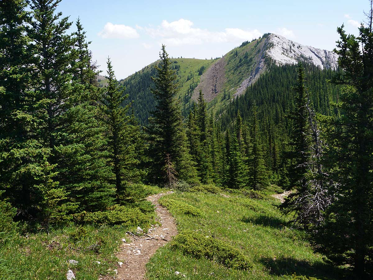 Grant MacEwan Peak from the Heart Mountain Horseshoe Hike in Canmore, Alberta