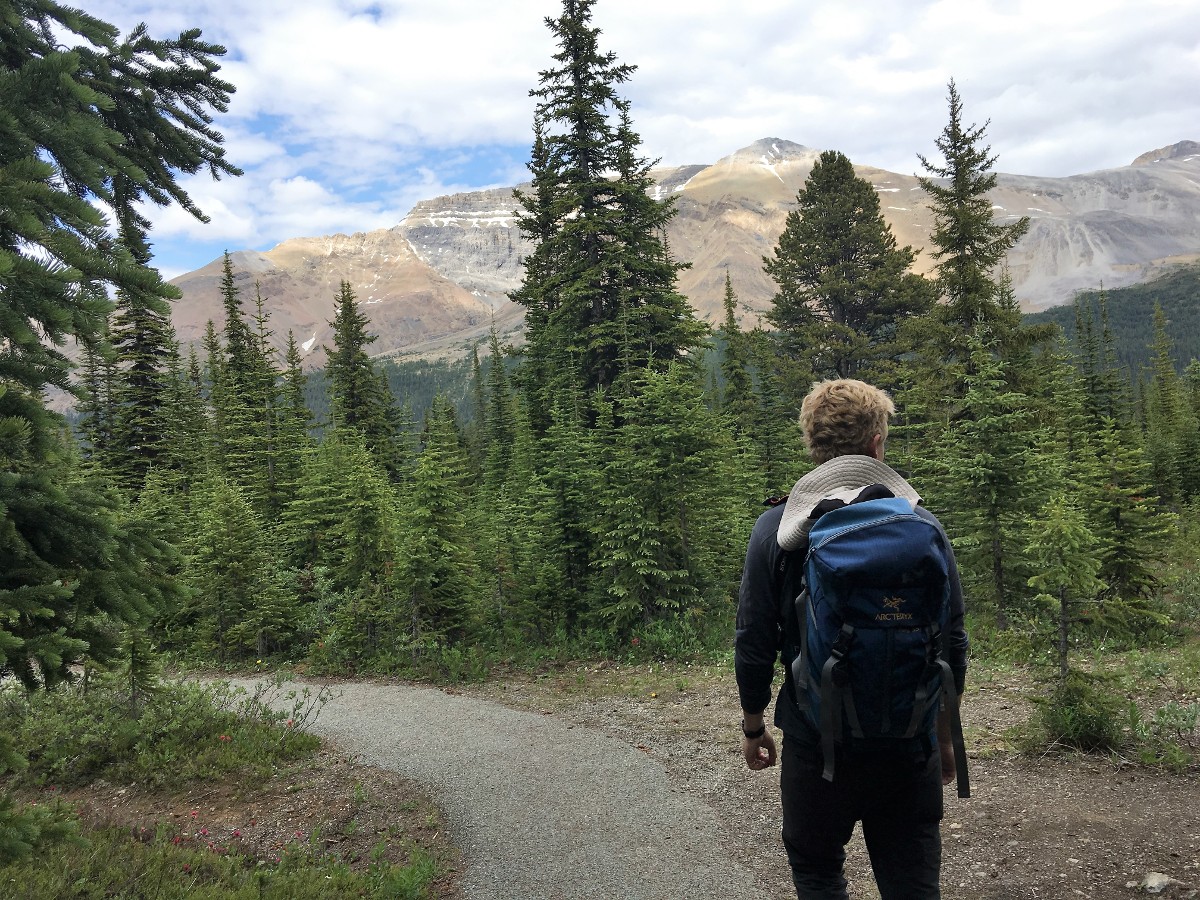 Trail of the Peyto Lake Viewpoint Hike from Icefields Parkway, near Banff National Park