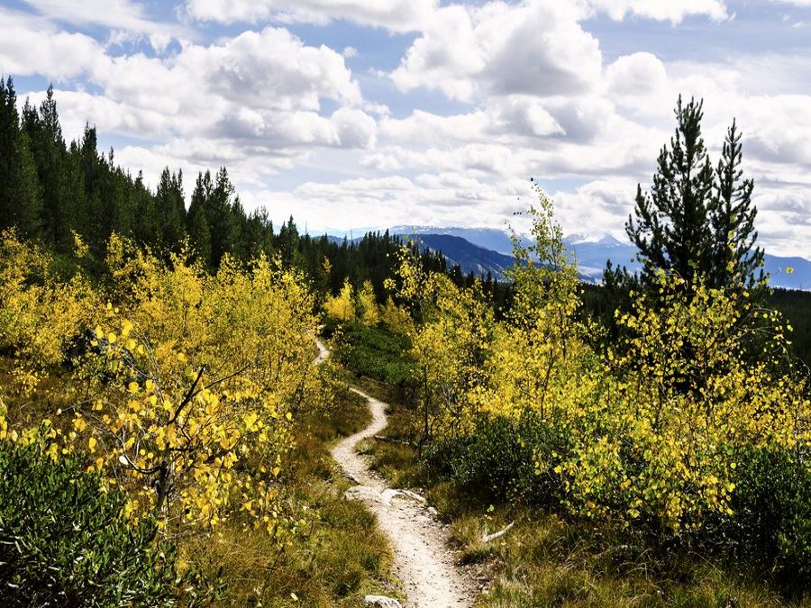 Taggart Lake Trail is a must-do hike in Grand Tetons