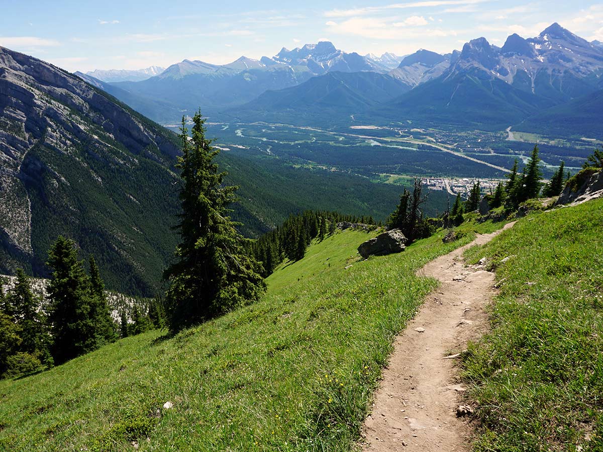 A nice path on the Lady MacDonald Tea House Hike from Canmore, Alberta