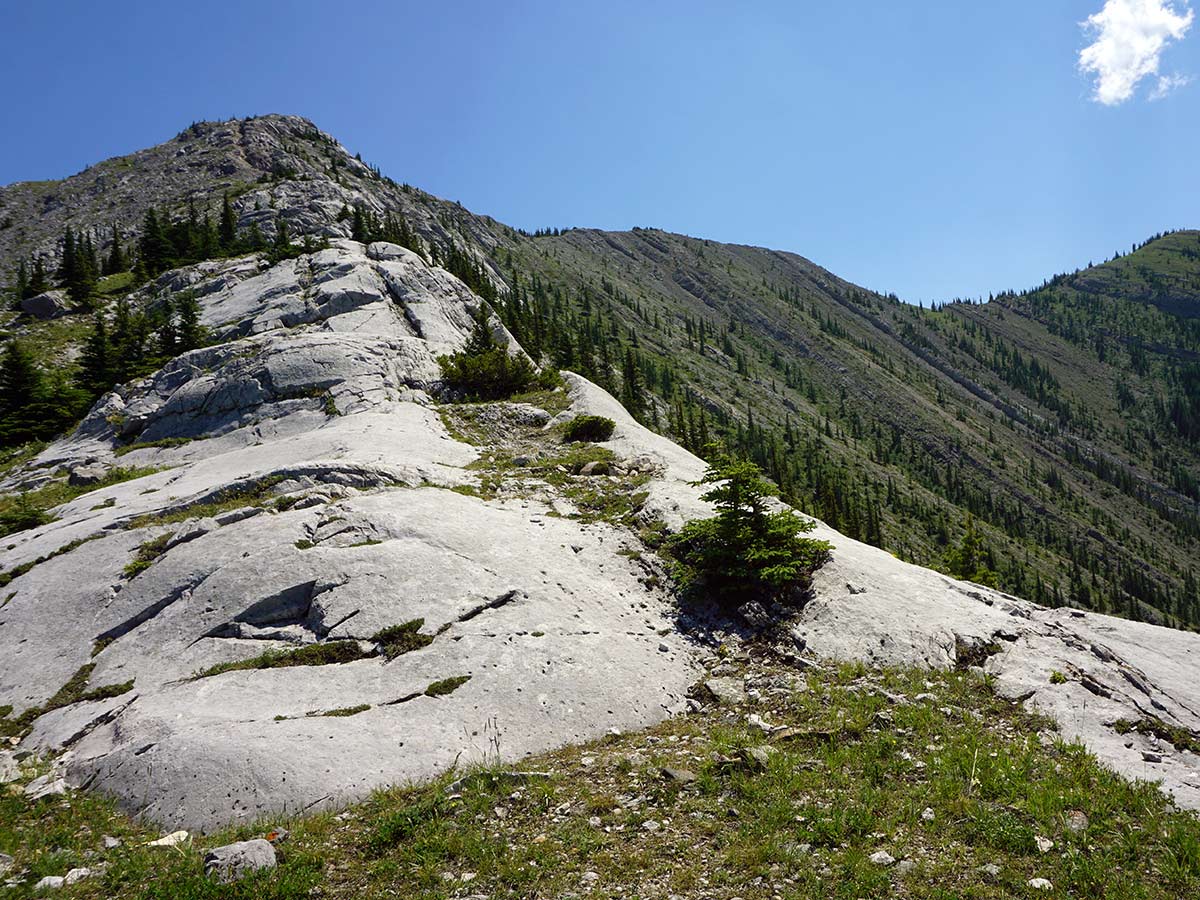 Trail down on the Heart Mountain Horseshoe Hike in Canmore, Alberta