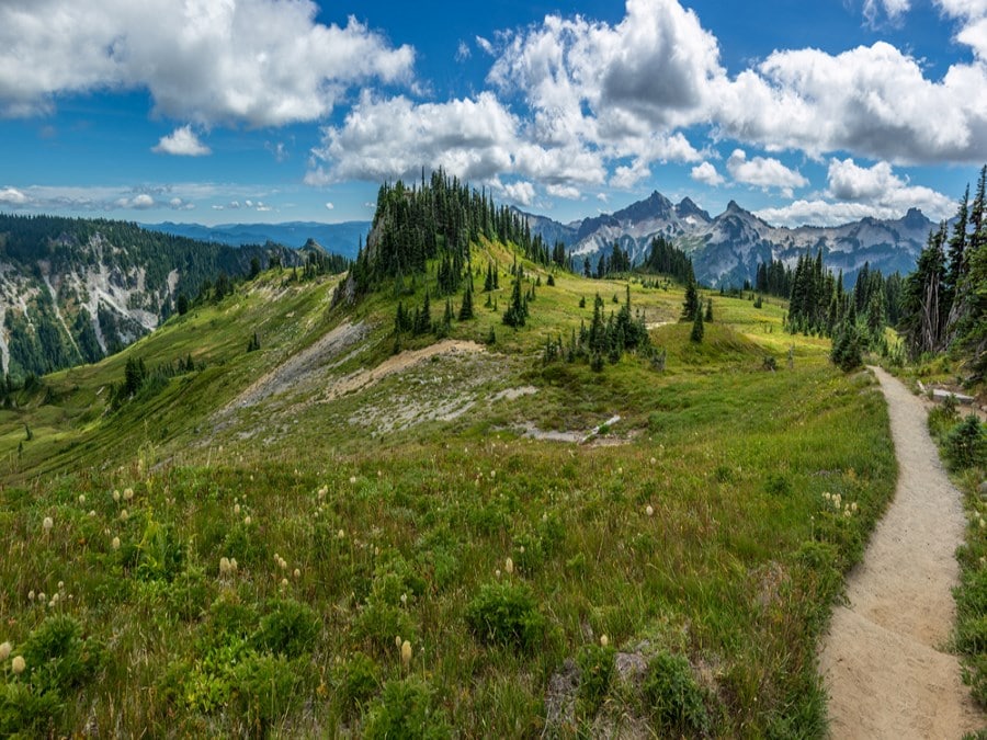 A hiking path meanders through the Cascades on the Pacific Crest Trail