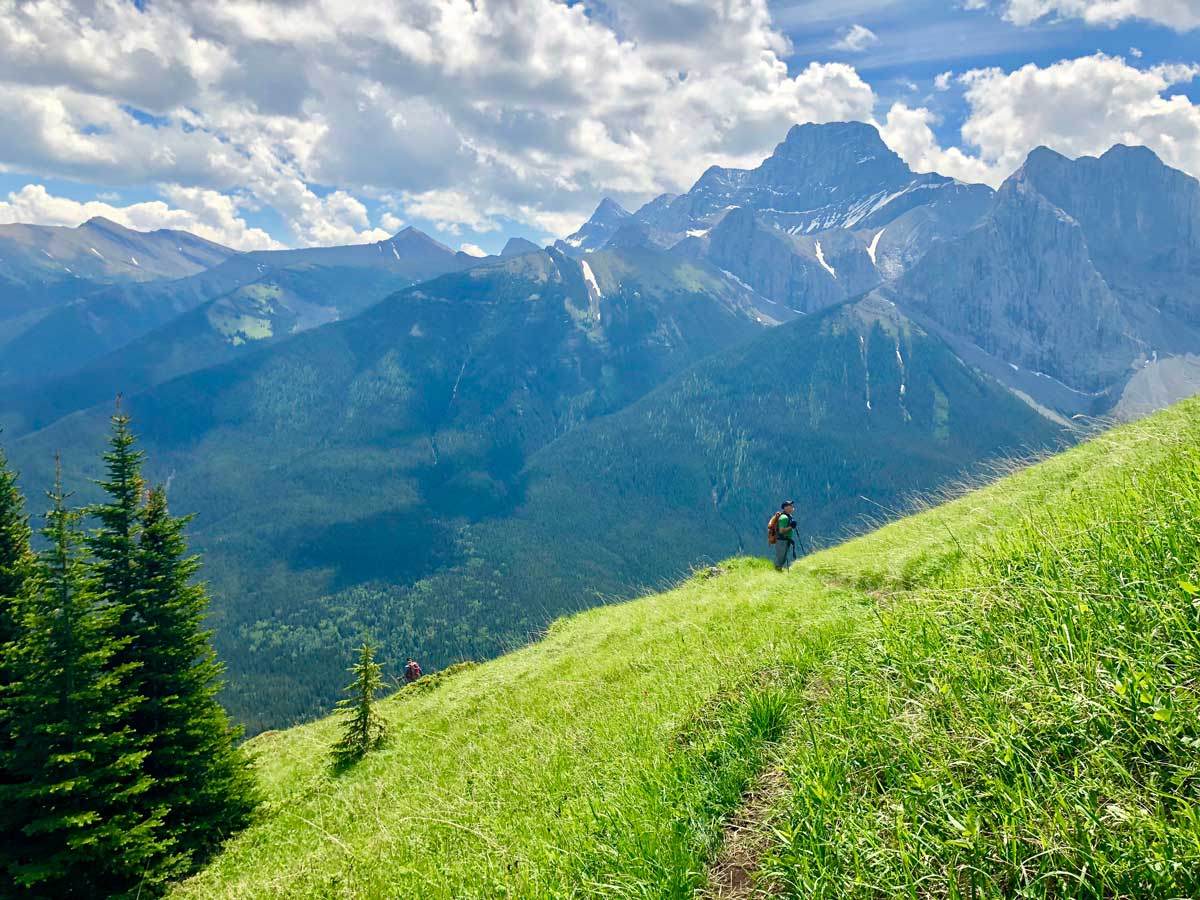 Trail down on the Wind Ridge hike in Canmore, Alberta