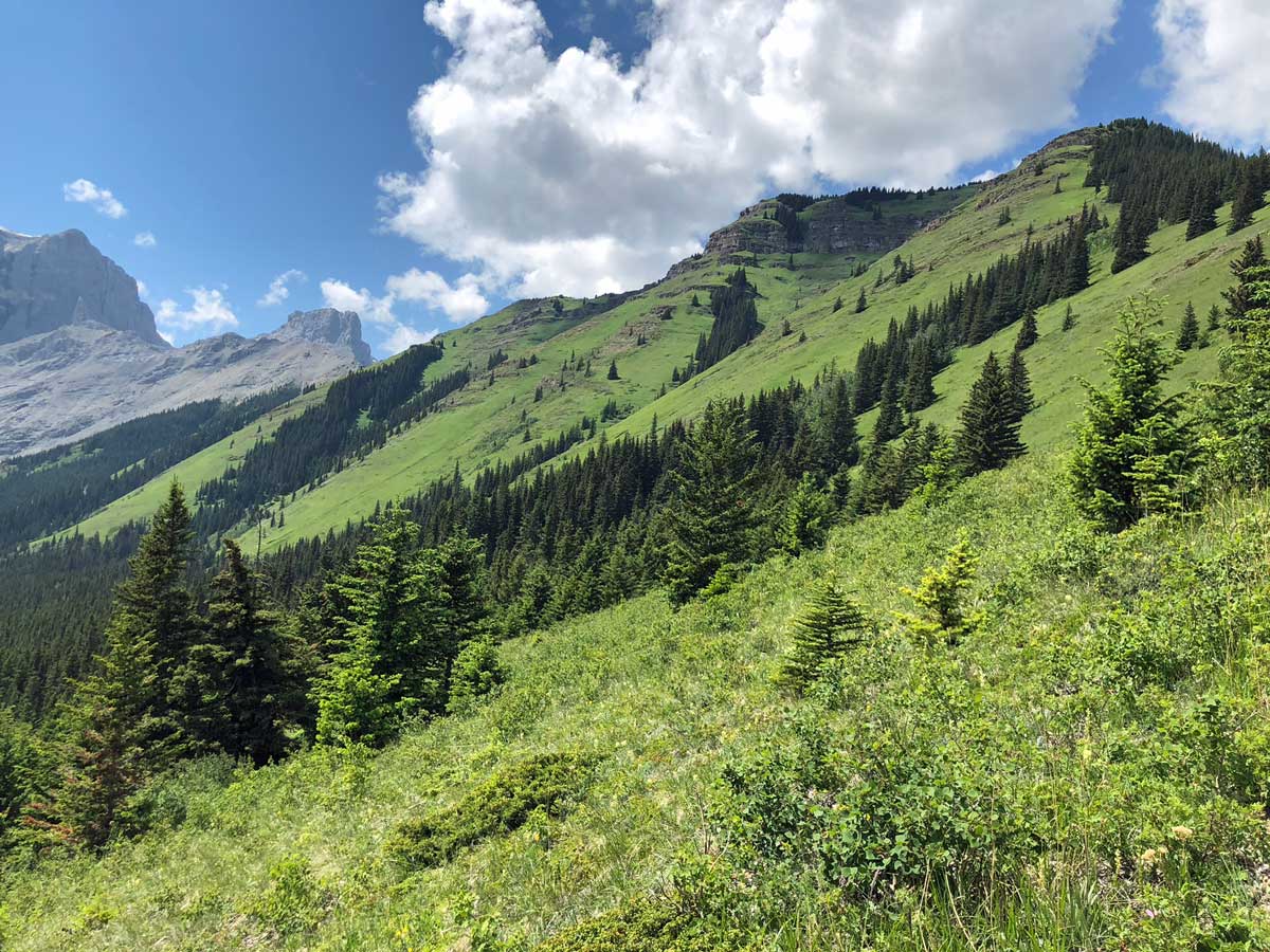 Panorama from the Wind Ridge hike in Canmore, Alberta