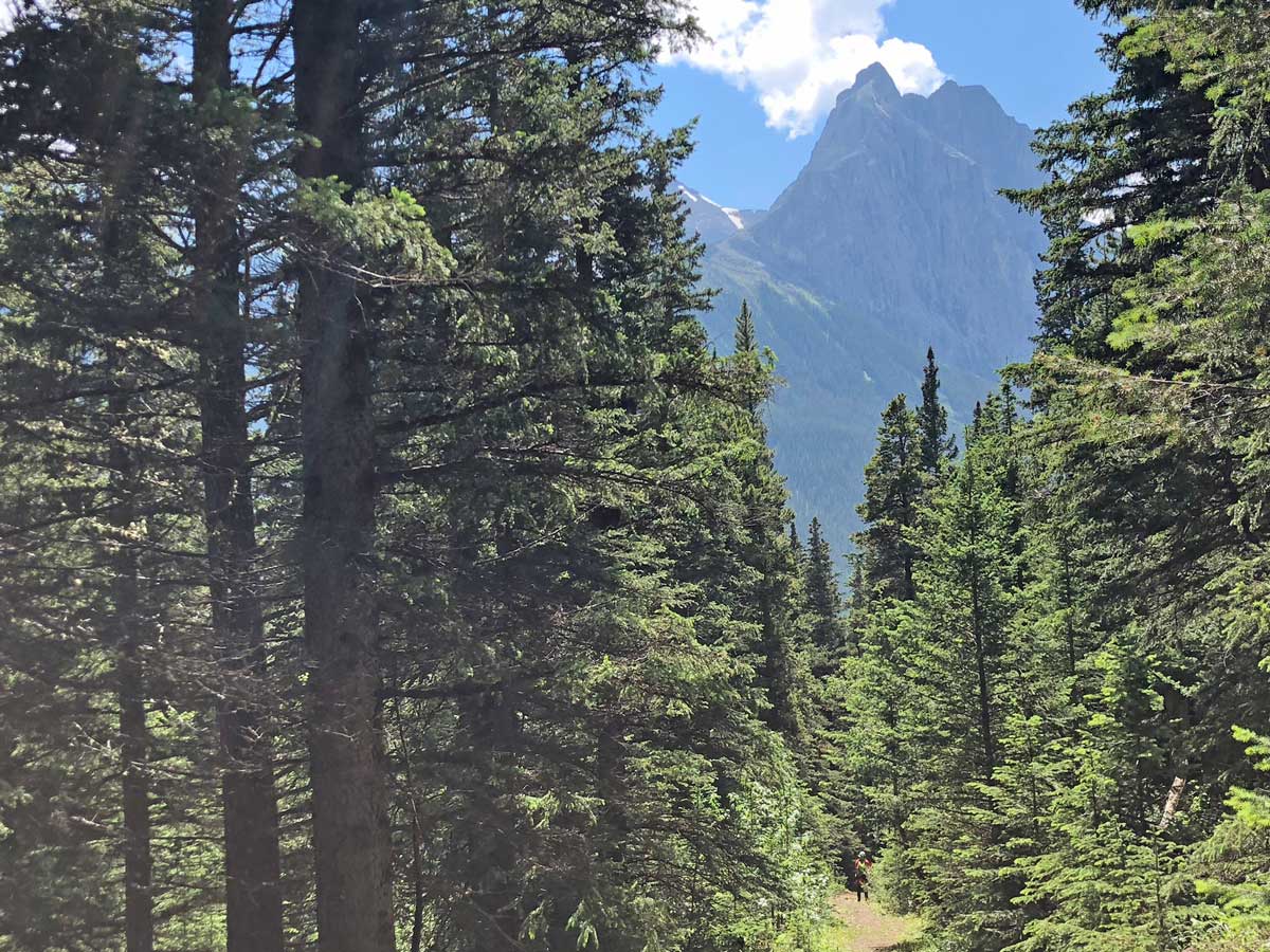 View from the Wind Ridge hike in Canmore, Alberta