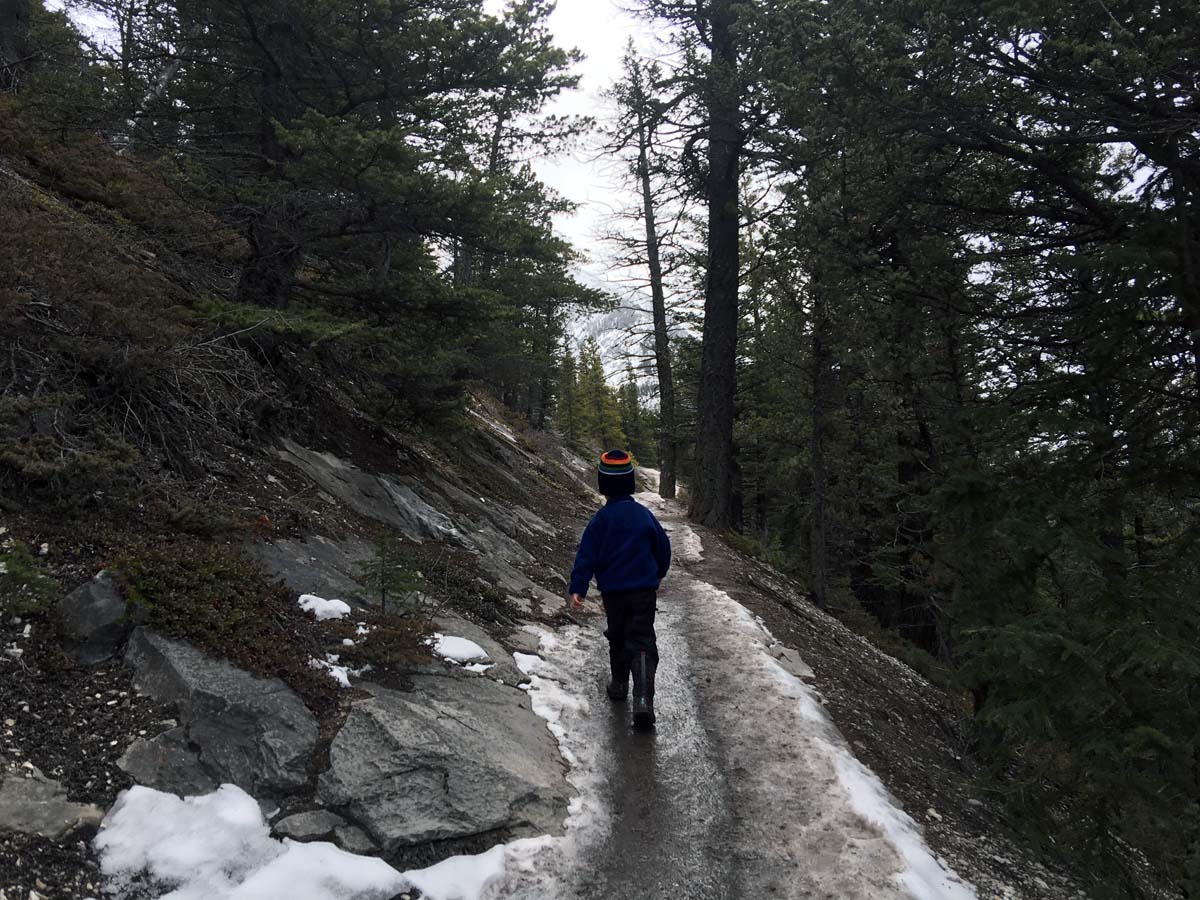 Trail upon the Tunnel Mountain Hike in Banff, Alberta