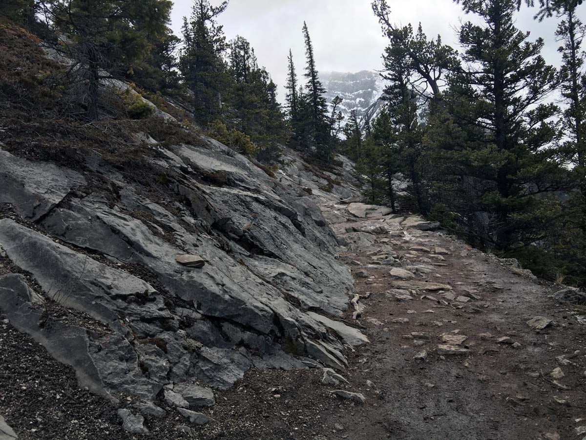 Rocky route of the Tunnel Mountain Hike in Banff, Alberta