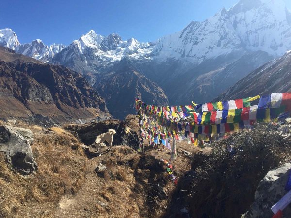 Himalayas on the Annapurna Base Camp hike