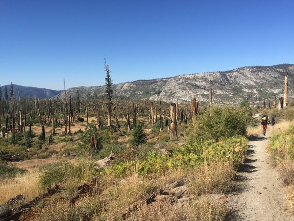Area on the John Muir Trail burnt by the forest fire