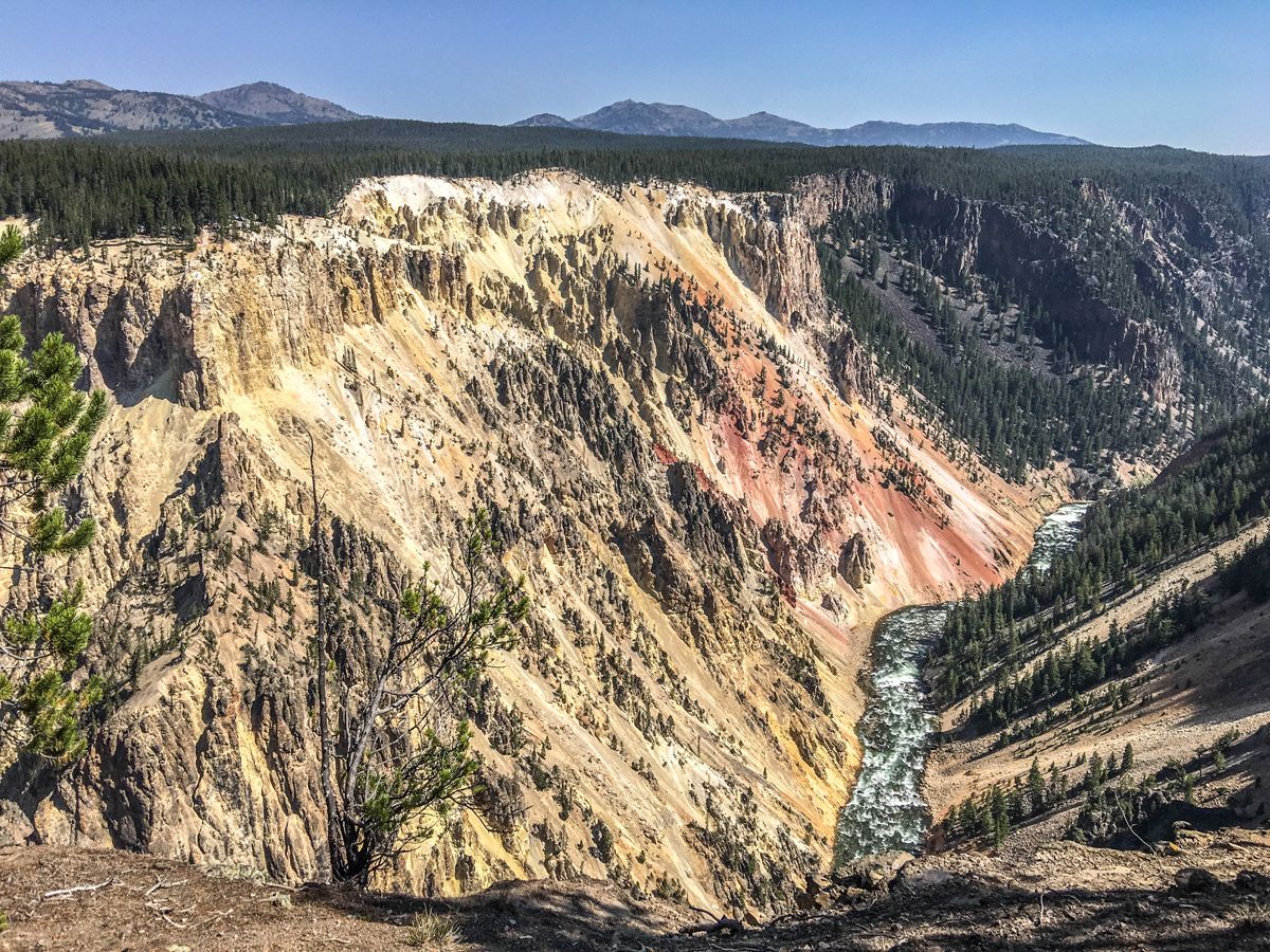 Overview of the canyon from the Artist Point to Point Sublime hike in Yellowstone