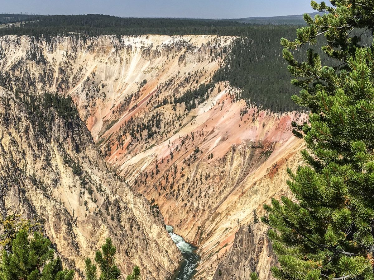 Panorama from the Artist Point to Point Sublime hike in Yellowstone