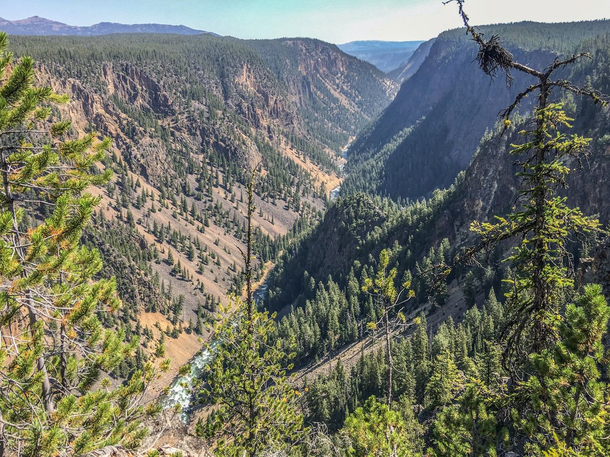 Beautiful scenery from the Artist Point to Point Sublime hike in Yellowstone