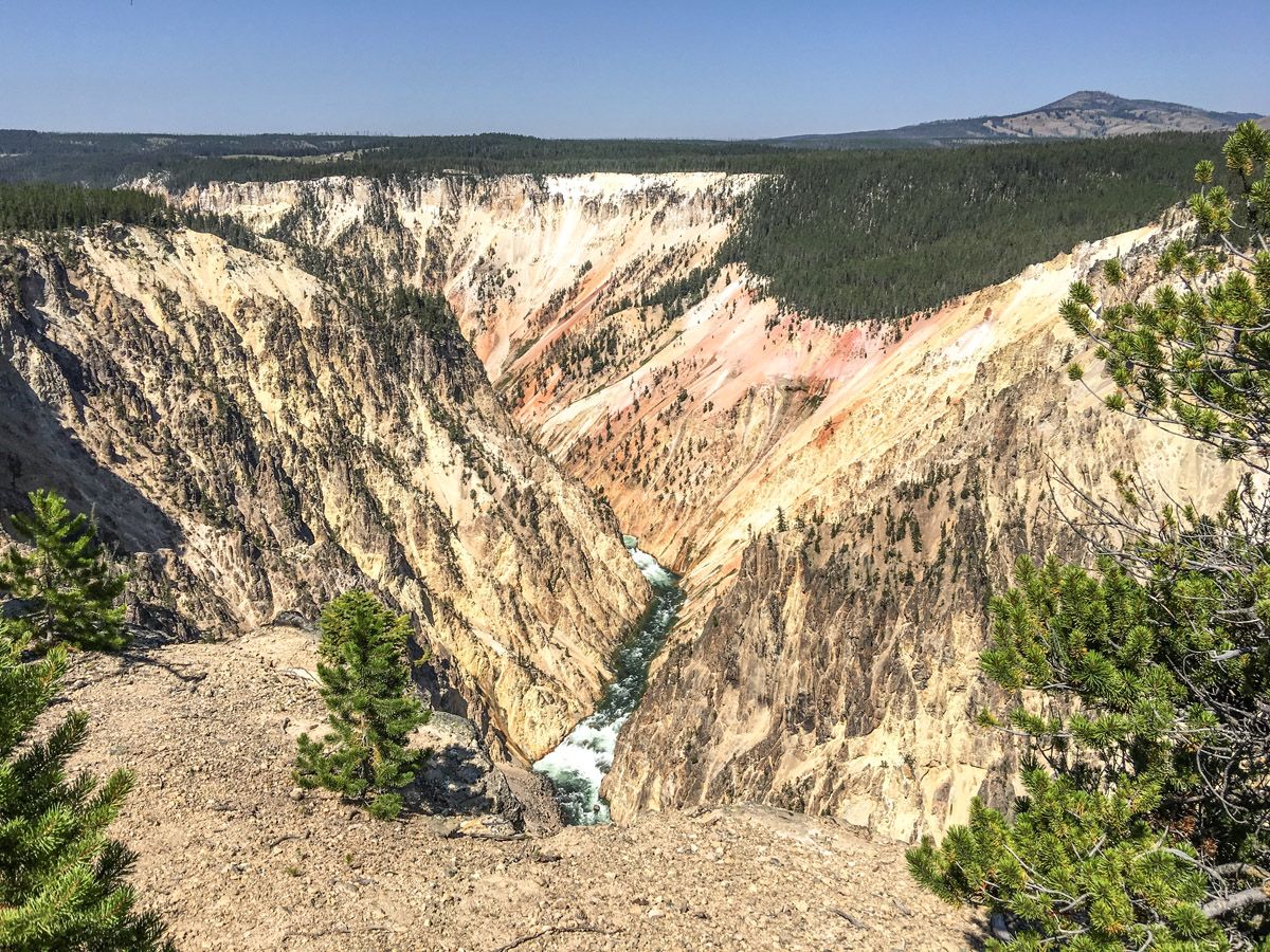 Stream at Artist Point to Point Sublime in Yellowstone National Park