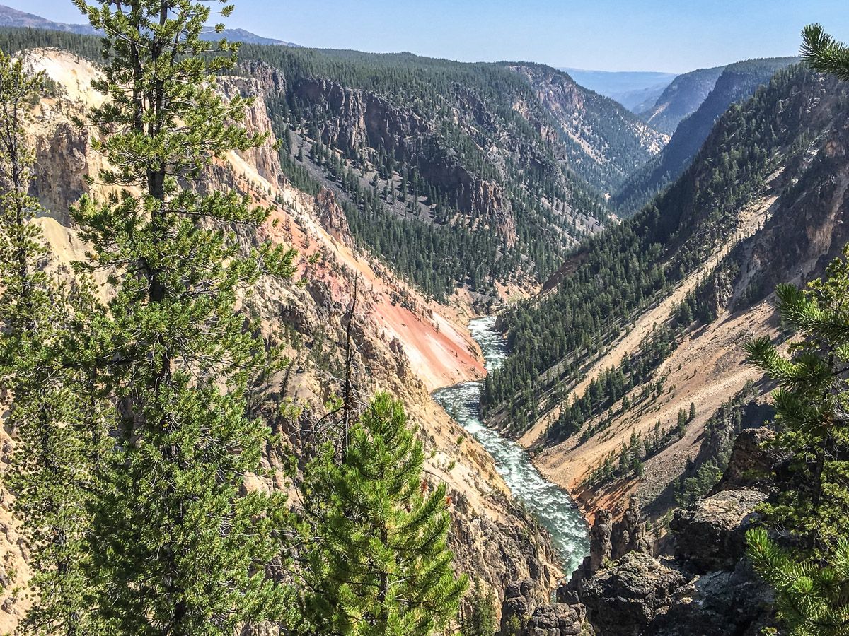 Great view from the Artist Point to Point Sublime hike in Yellowstone