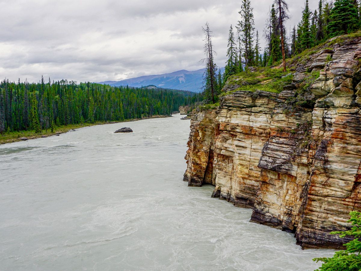 River on the Athabasca Falls Hike in Jasper National Park, Alberta
