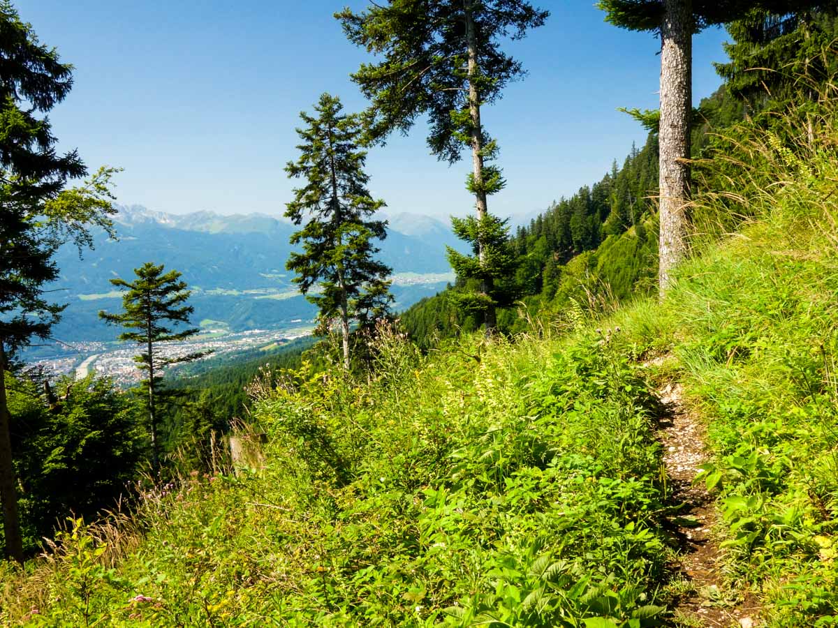 Beautiful flora along the trail on the Goetheweg Hike in Innsbruck, Austria