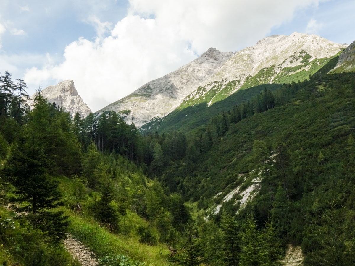 Ascending through the forest on the Halltal Hike in Innsbruck, Austria