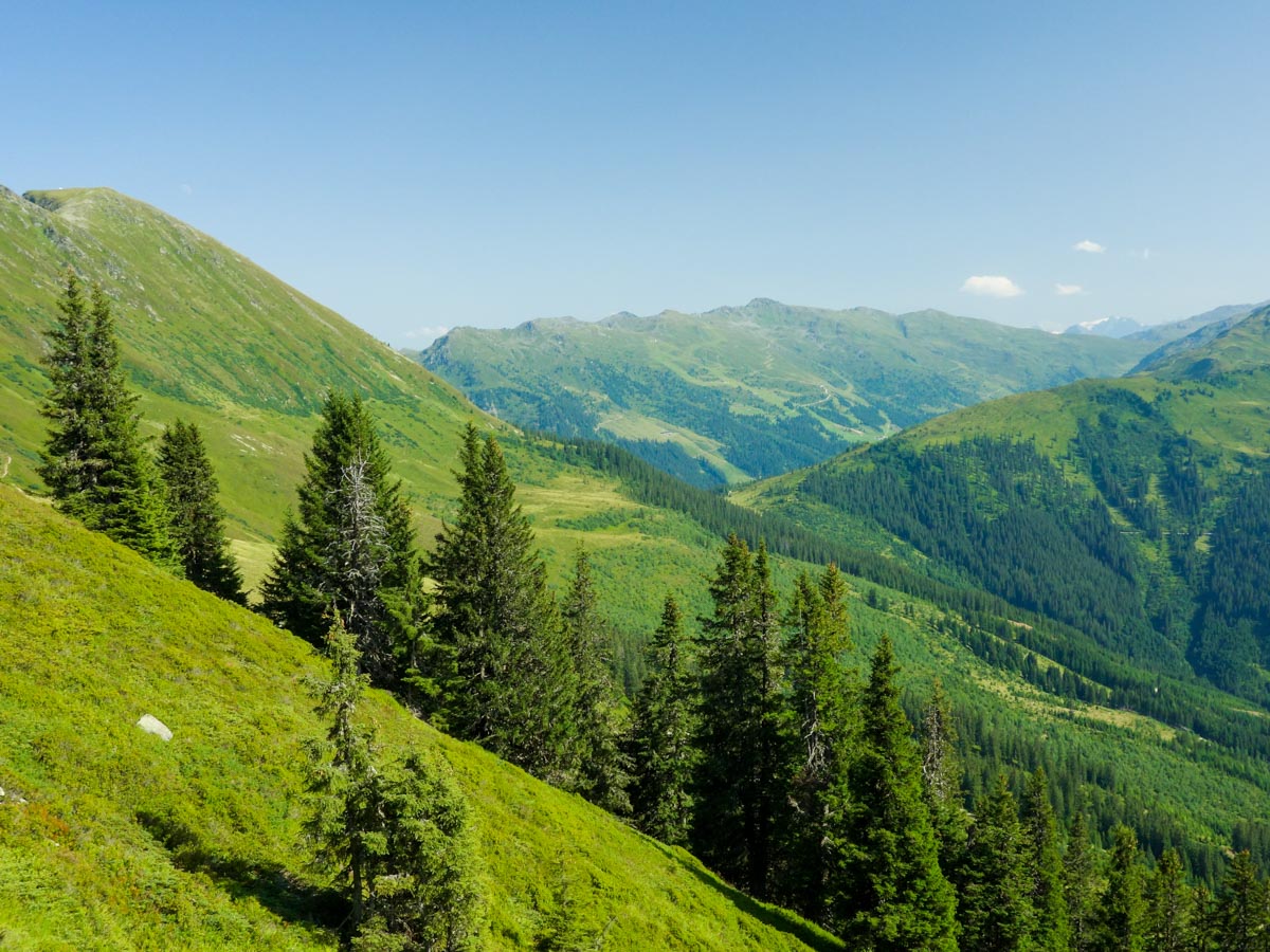 Forest near the trailhead of the Kellerjoch Loop Hike in Innsbruck, Austria