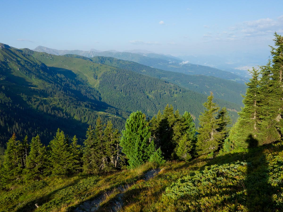 Lovely forest on the Kellerjoch Loop Hike in Innsbruck, Austria