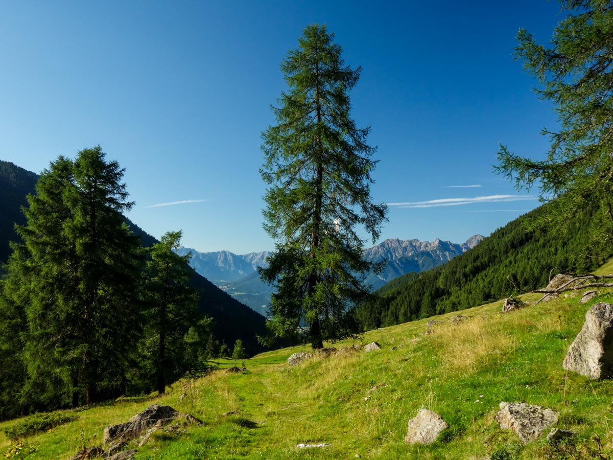 Beautiful meadows on the Kemater Alm Hike in Innsbruck, Austria