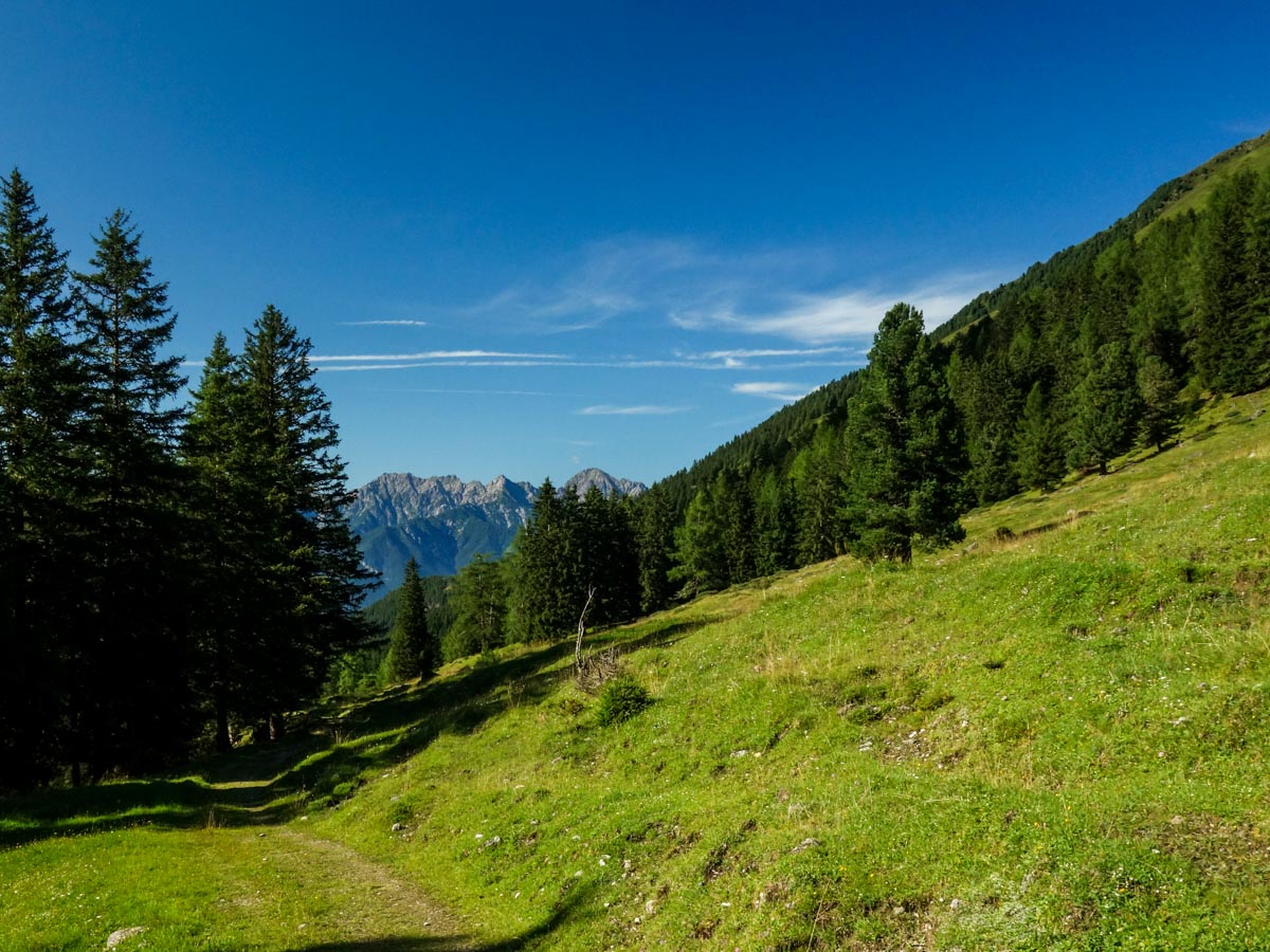 Trail through light forest and meadows on the Kemater Alm Hike in Innsbruck, Austria